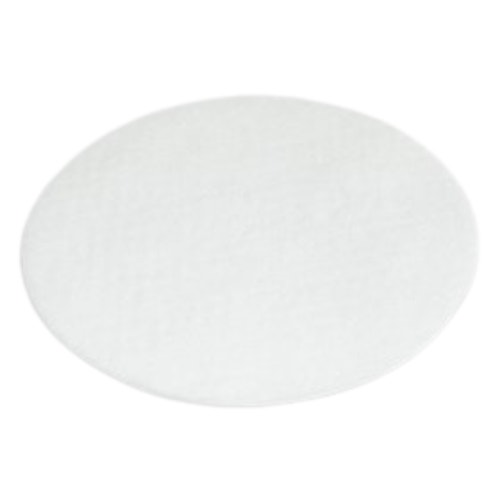 Disposable CPAP Filter for Respironics REMstar Choice CPAP Machine